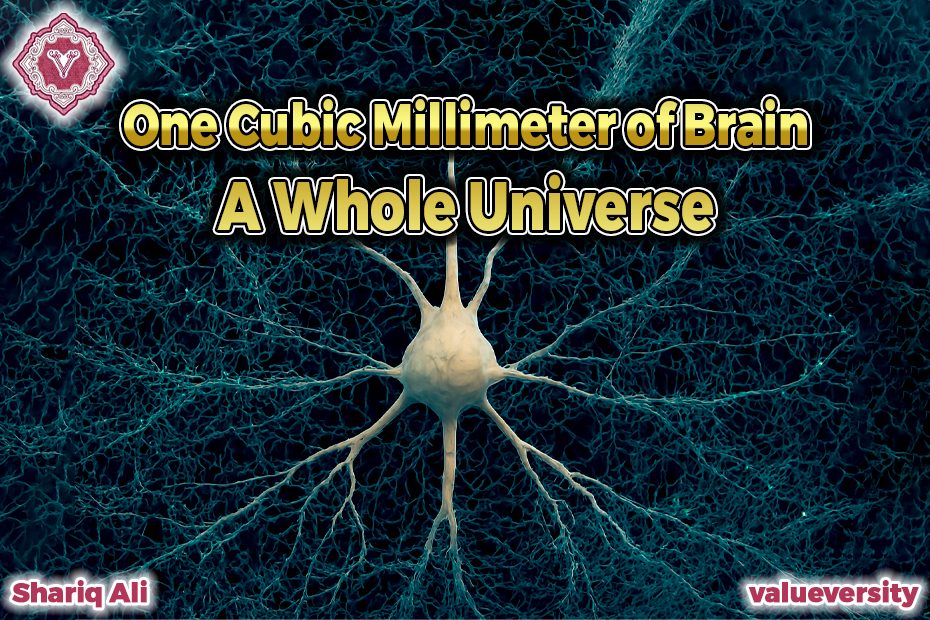 One Cubic Millimeter of Brain… A Whole Universe!