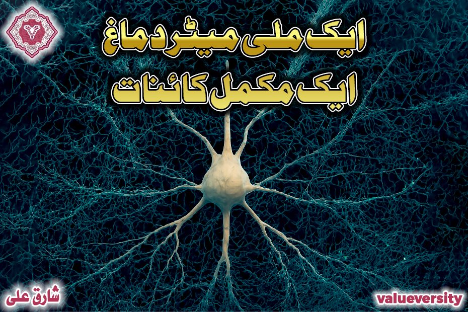 ایک ملی میٹر دماغ… ایک مکمل کائنات!