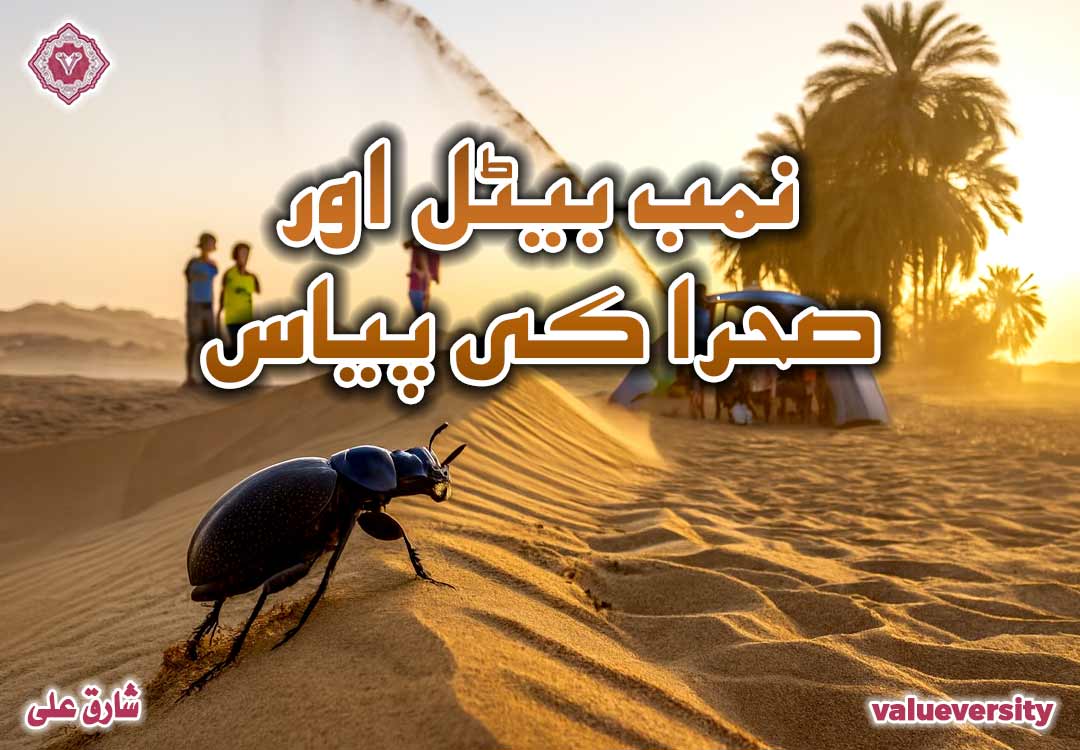 نمب بیٹل اور صحرا کی پیاس