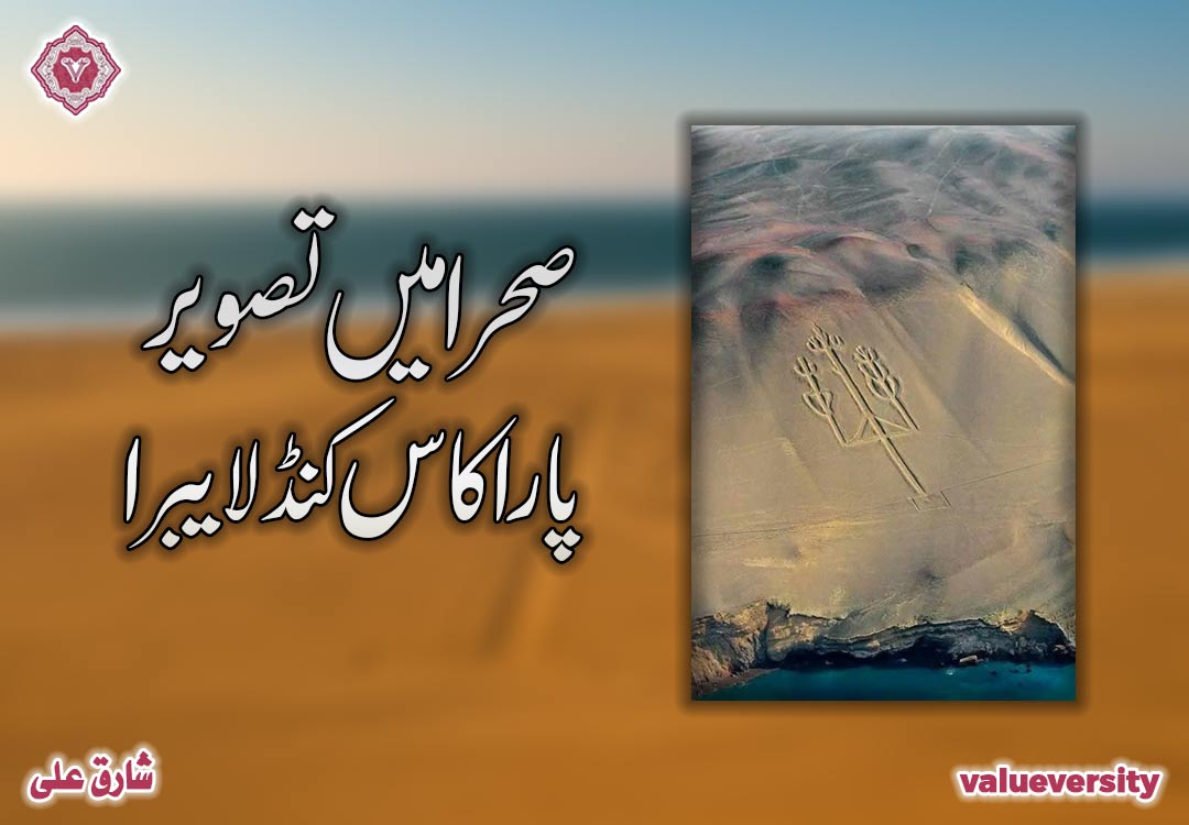 صحرا میں تصویر : پاراکاس کنڈلایبرا