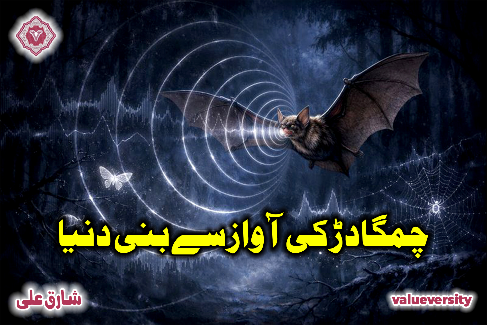 چمگادڑ کی آواز سے بنی دنیا