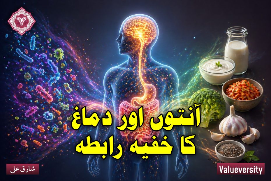 آنتوں اور دماغ کا خفیہ رابطہ